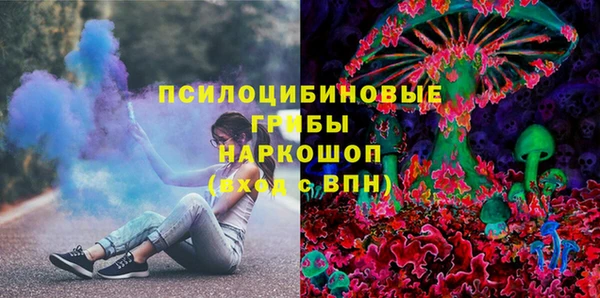 PSILOCYBIN Беломорск