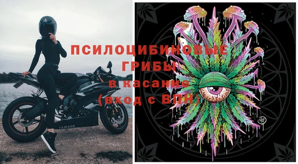 PSILOCYBIN Беломорск