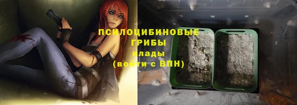 ГАЛЛЮЦИНОГЕННЫЕ ГРИБЫ Балахна