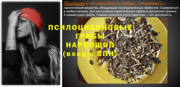 PSILOCYBIN Беломорск