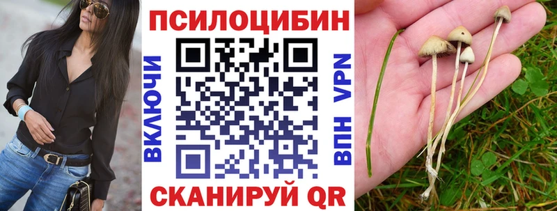 Галлюциногенные грибы прущие грибы  Купить закладки  Спас-Клепики 